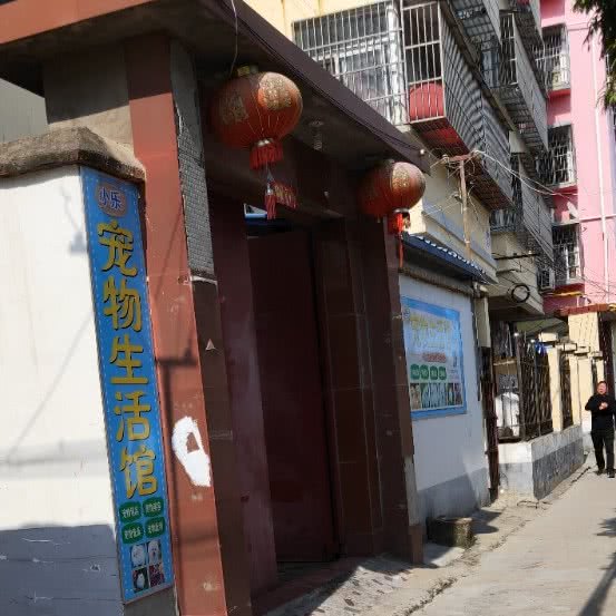 小乐宠物馆:阜阳市太和县