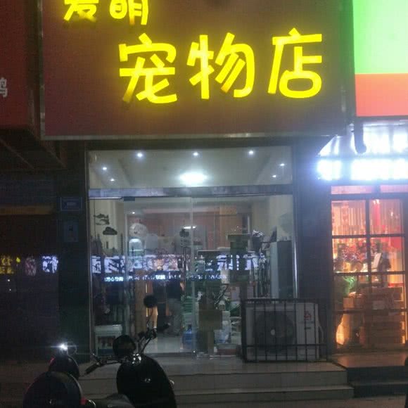 爱萌宠物店:阜阳市太和县