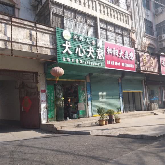 犬心犬意:阜阳市太和县