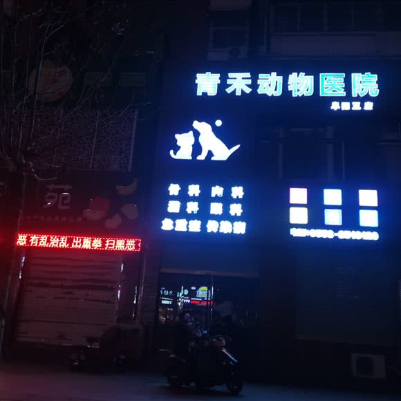 青禾动物医院:阜阳市太和县