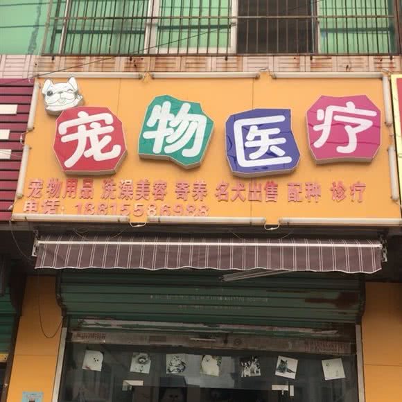 旺宠宠物医疗(细阳宠物医疗):阜阳市太和县