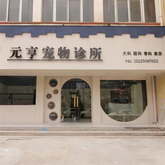 元亨宠物医院:阜阳市太和县
