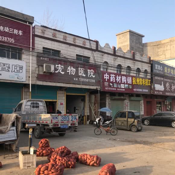 宠物医院:阜阳市太和县