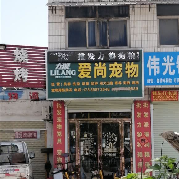 爱尚宠物:阜阳市阜南县
