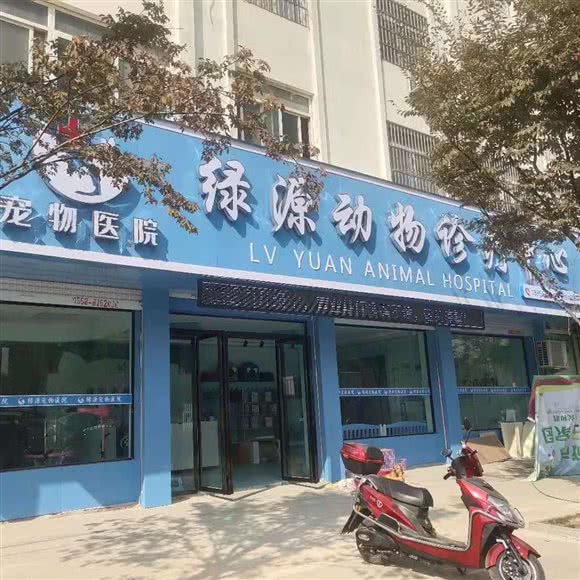 绿源动物诊疗中心:阜阳市阜南县
