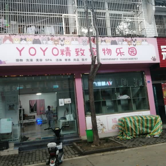 YOYO精致宠物乐园:阜阳市颍上县