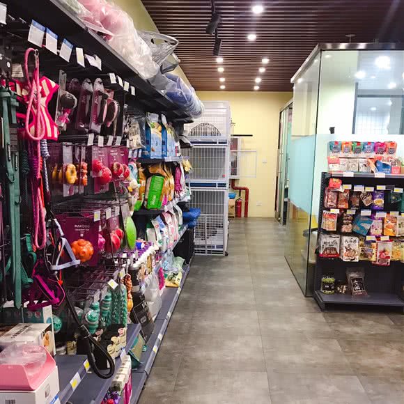 宠小乖 lovelyhouse:北京城区朝阳区东坝附近