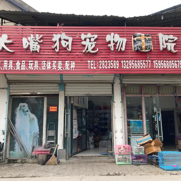 大嘴狗宠物院:阜阳市颍上县