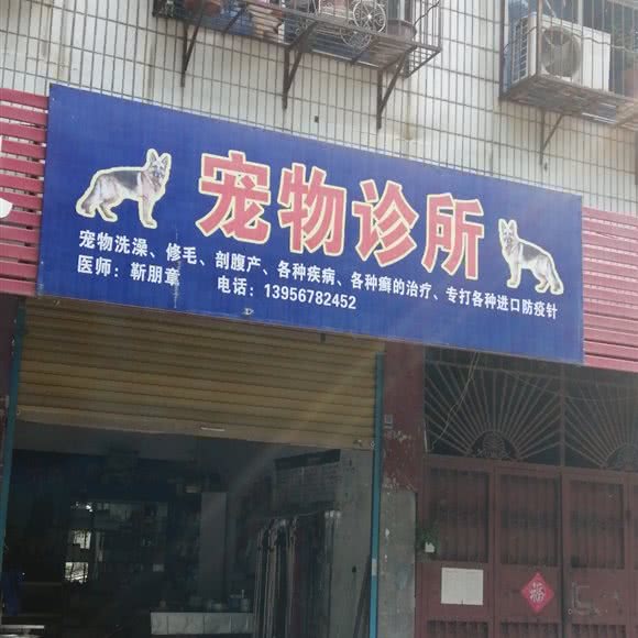 宠物诊所:阜阳市颍上县