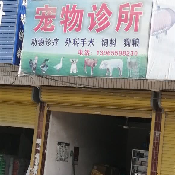 宠物诊所:阜阳市颍上县