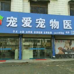 宠爱宠物医院:阜阳市界首市