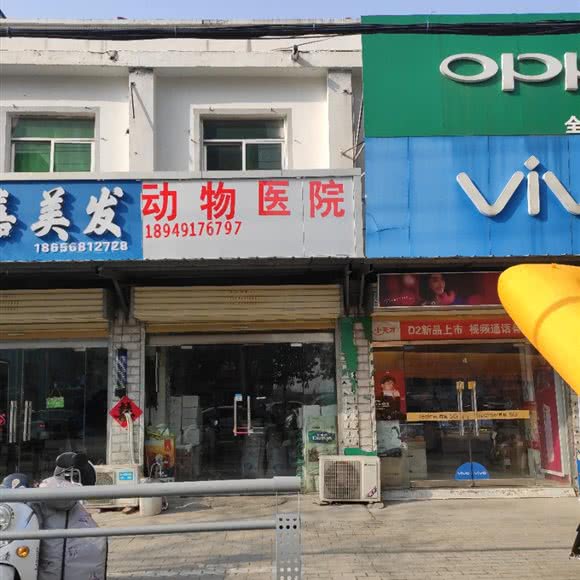 宠物美容洗澡:宿州市埇桥区