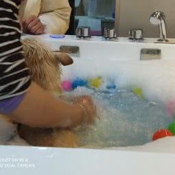 宠坞(恒大城市广场店):北京城区朝阳区东坝附近