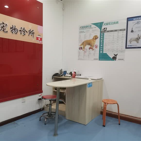 泰乐宠物诊所:临汾市尧都区华州路附近