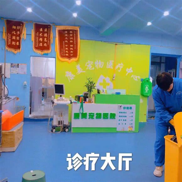 康美宠物医疗中心:宿州市埇桥区