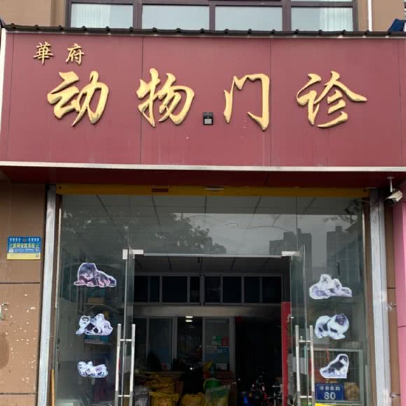 华府动物门诊:宿州市埇桥区