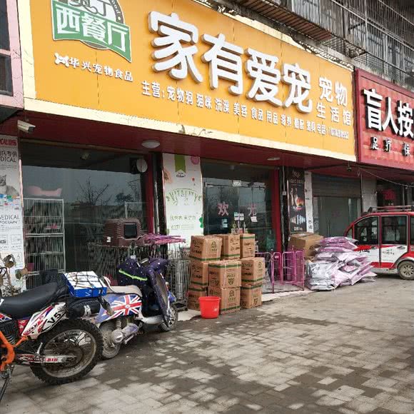 家有爱宠宠物狗生活馆:宿州市砀山县