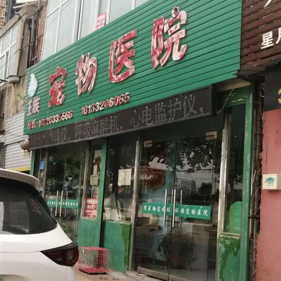 王族宠物医院:宿州市萧县