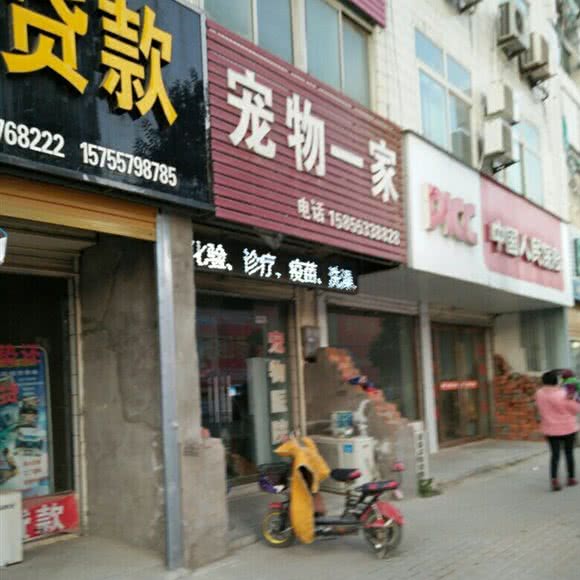 宠物一家:宿州市灵璧县