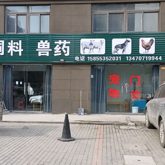宠物门诊:宿州市灵璧县