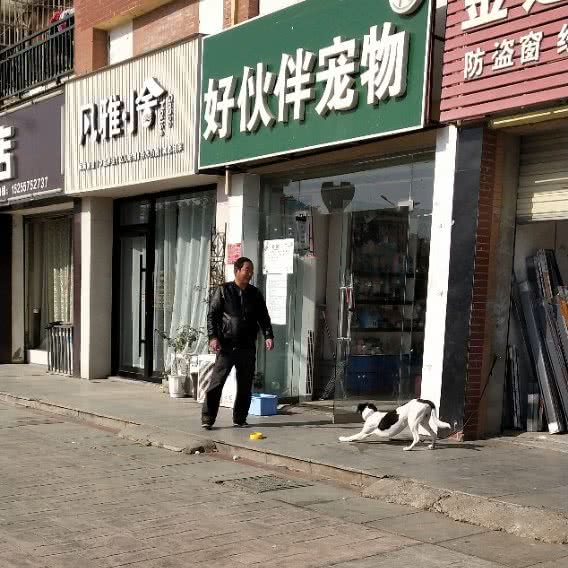 好伙伴宠物:宿州市泗县