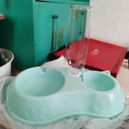 明亮宠物会馆:临汾市尧都区煤化巷附近