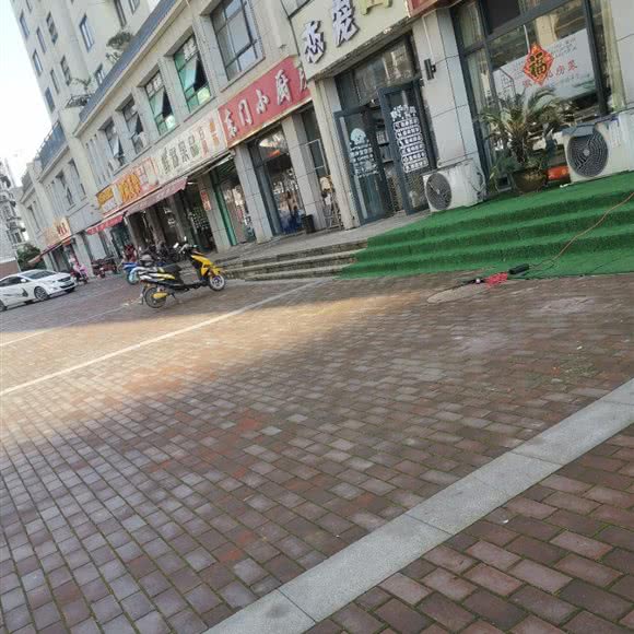 恋宠宠物店:六安市舒城县