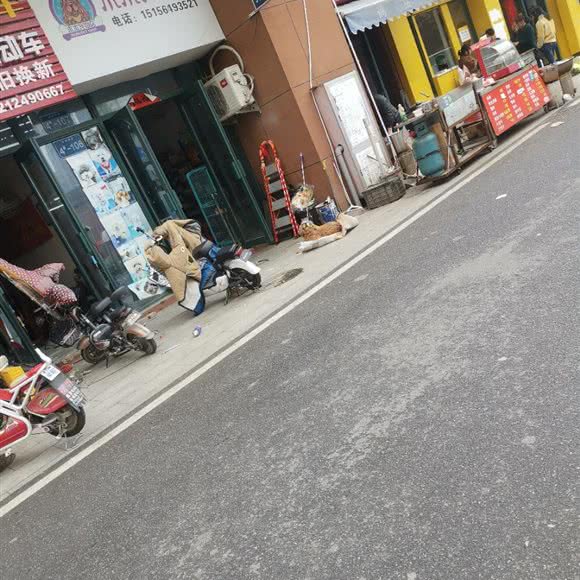 木木咖啡店:六安市舒城县