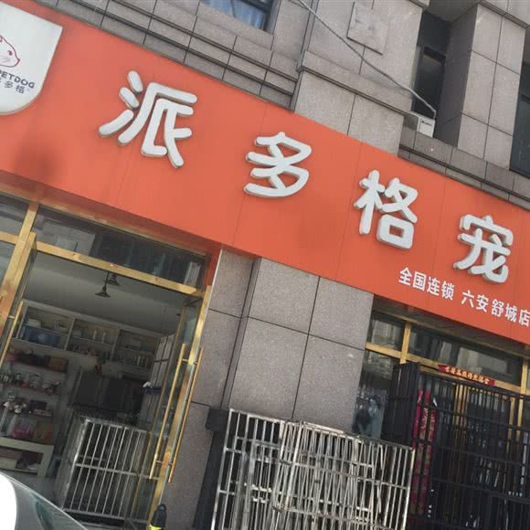 派多格宠物(六安舒城店):六安市舒城县