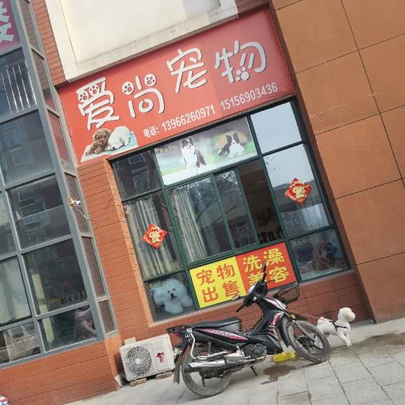 爱尚宠物:六安市舒城县