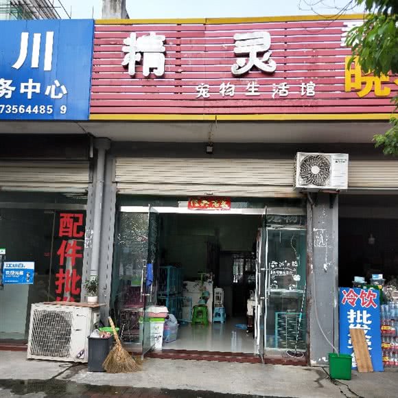 精灵宠物生活馆:六安市金寨县