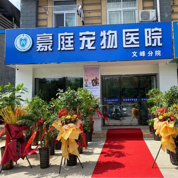 豪庭宠物医院(文峰分院):六安市霍山县