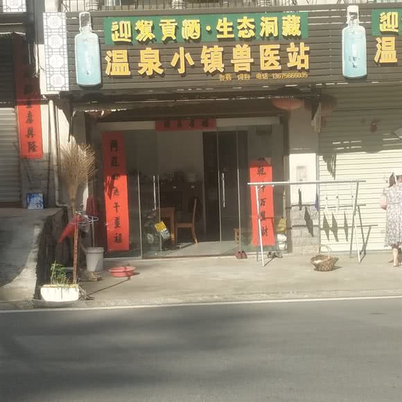温泉小镇兽医站:六安市霍山县