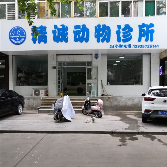 精诚动物诊所:临汾市尧都区五一路附近