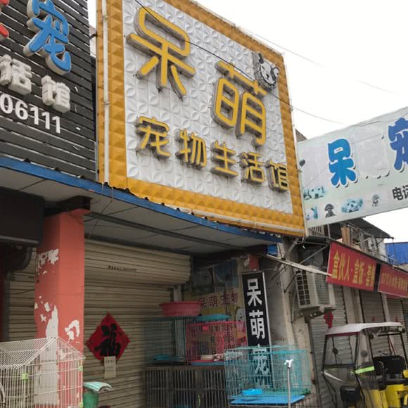 呆萌宠物生活馆:亳州市谯城区