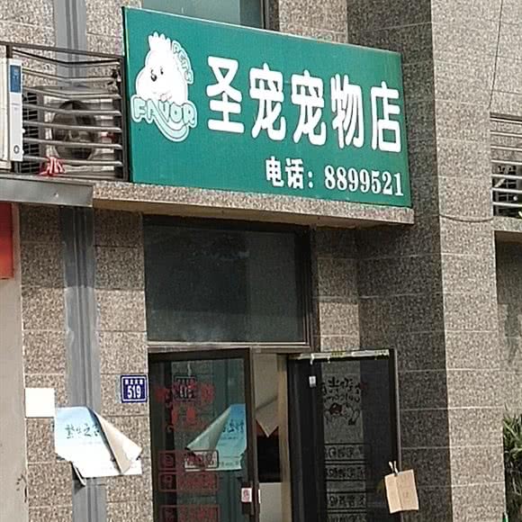 圣宠宠物店(杜仲路店):亳州市谯城区