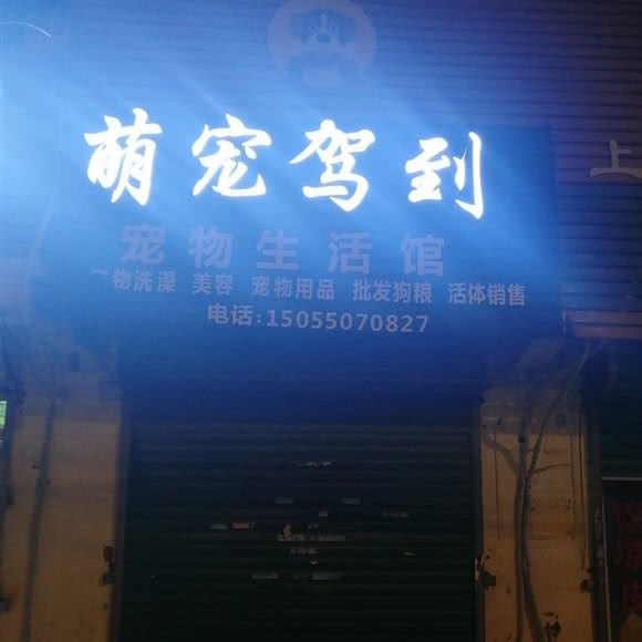 萌宠驾到:亳州市谯城区