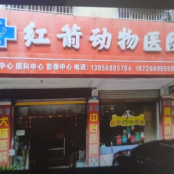亳州红箭动物医院、骨科专科、猫病专科(红箭动物医院文化小区店):亳州市谯城区