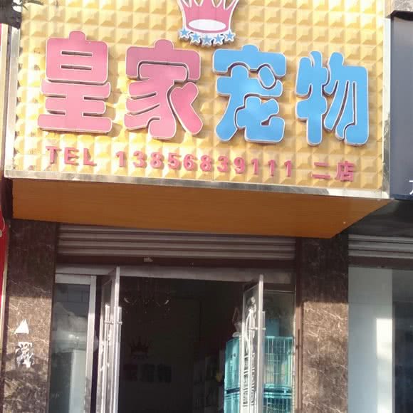 皇家宠物:亳州市涡阳县