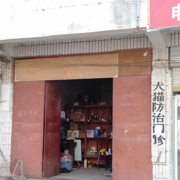 犬猫防治门诊:亳州市涡阳县