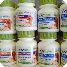 Q宠宠物会所:亳州市蒙城县