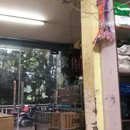 宠爱一生:亳州市利辛县