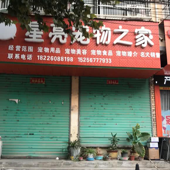 星亮宠物之家:亳州市利辛县