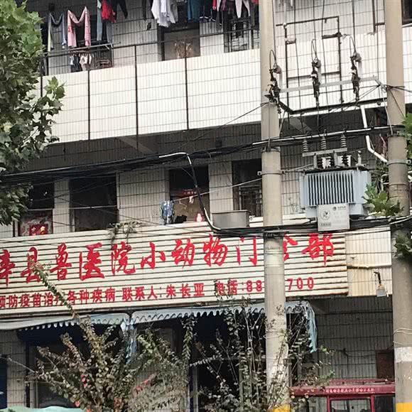 利辛县兽医院小动物门诊部:亳州市利辛县