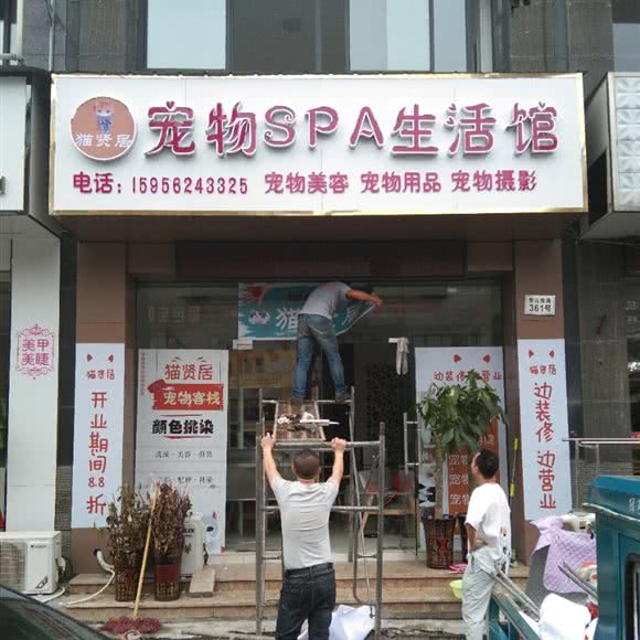 猫贤居宠物SPA生活馆:池州市贵池区