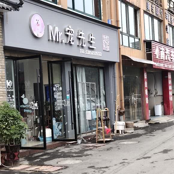 宠先生:池州市贵池区