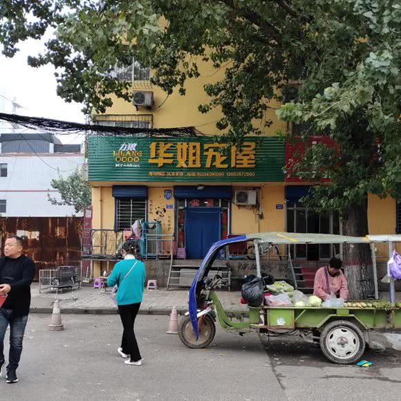 华姐宠屋:临汾市尧都区北外环附近