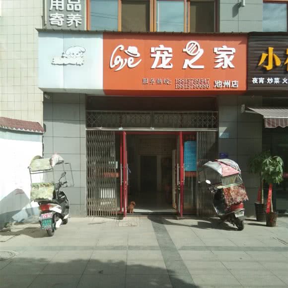 love宠之家:池州市贵池区