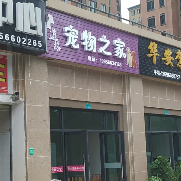 道格宠物之家:池州市贵池区