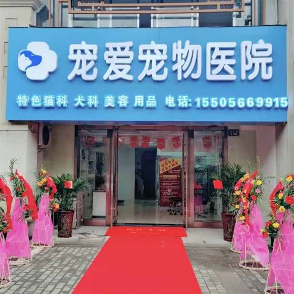 宠爱宠物医院:池州市贵池区
